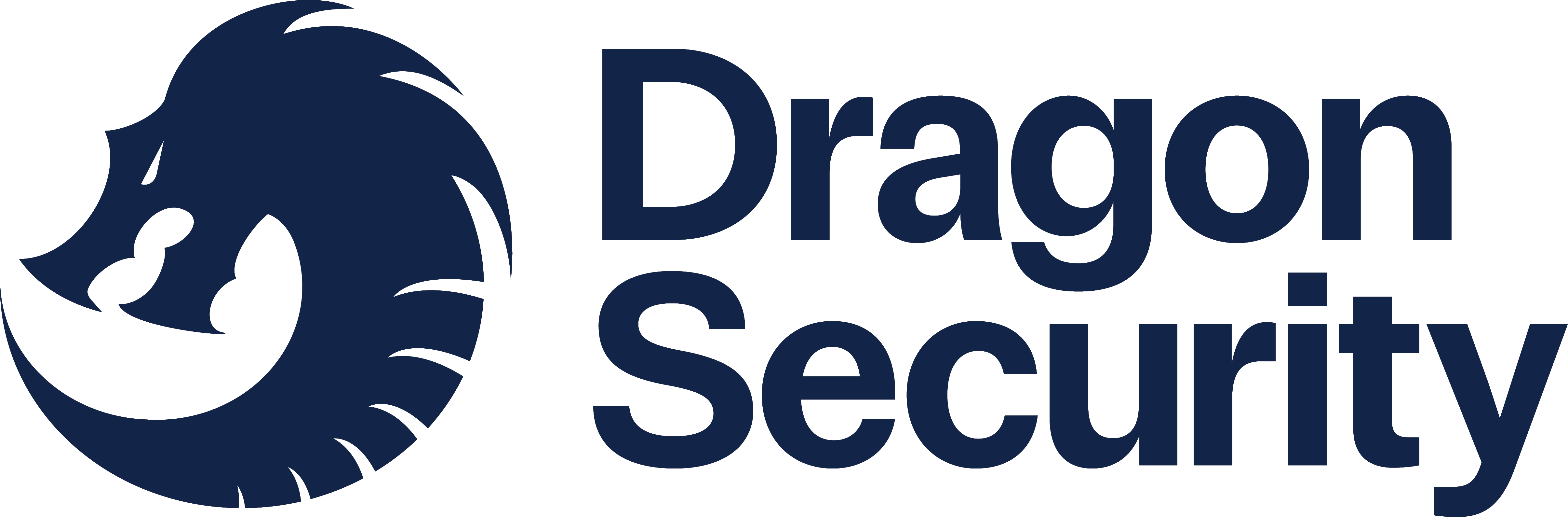 Dragon Security logo